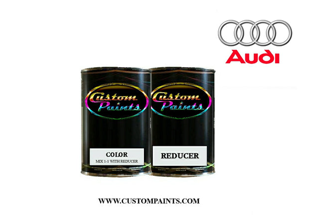 Audi: Nardo Gray - Paint code LY7C